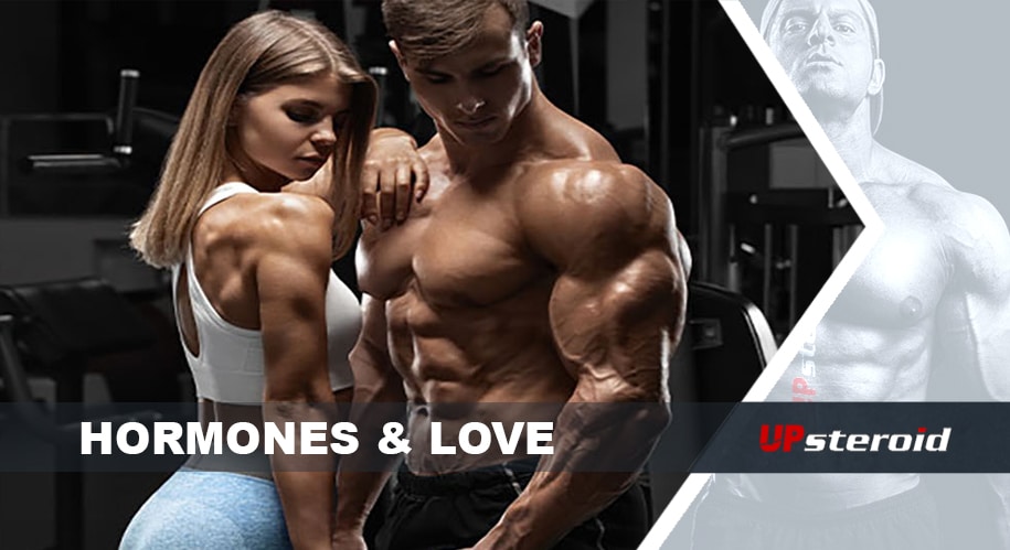 Hormone Liebe