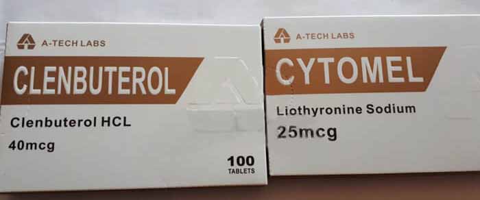 25.03.2019 CUNEO, ITALIEN