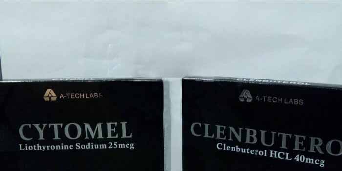 04.11.2019 OLD CONDE FRANKREICH