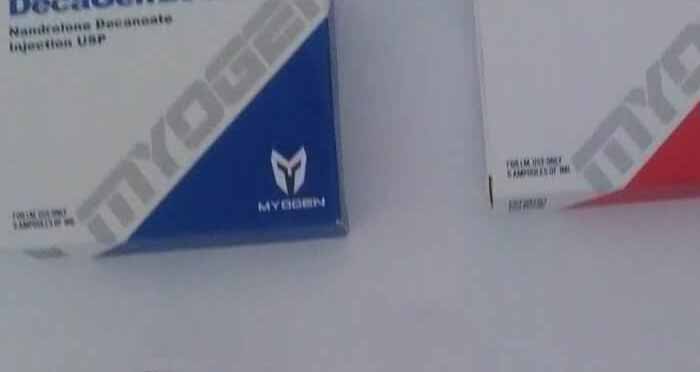 13.11.2019 VAULX EN VELIN FRANKREICH