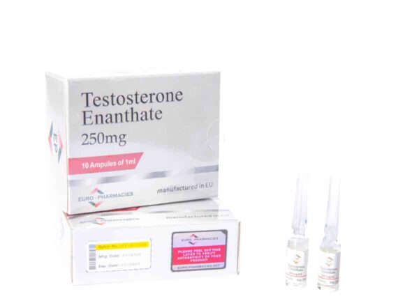 10 ml Ampullen Testosteron Enanthat Euro
