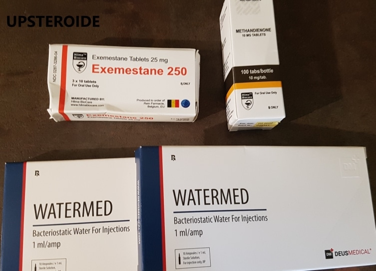 2020 11 22 5fba9c50b137f BESTELLUNG