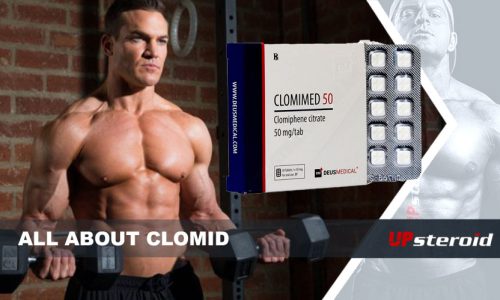 Alles über Clomid UP