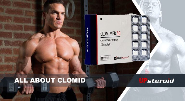 Alles über Clomid UP