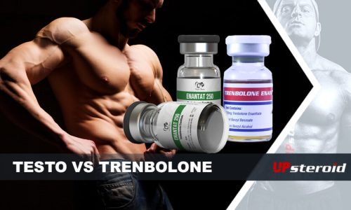 Blogbeitrag über Testosteron und Trenbolon