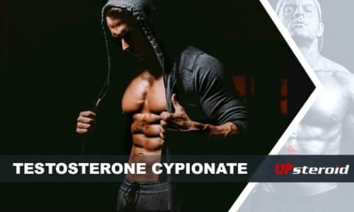 Blogbeitrag über Testosteron Cypionat für Bodybuilding