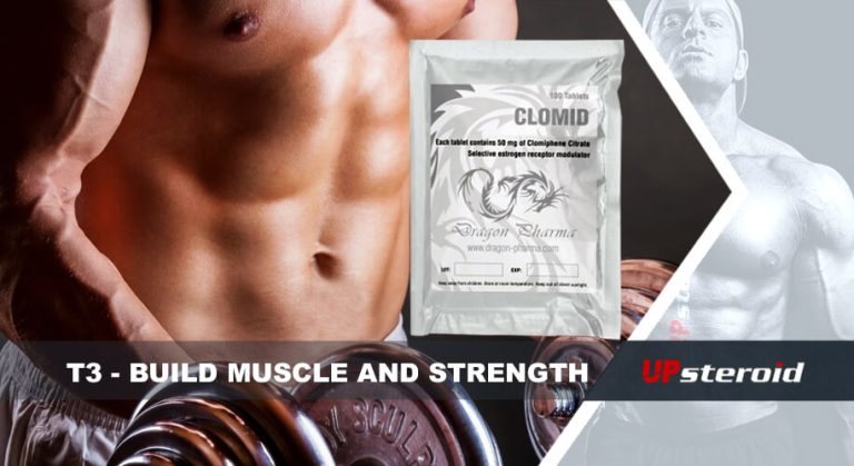 Blogbeitrag: T3 Muskelaufbau