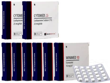 6er-Packung Stanozolol T3 Cytomel orale Steroide 8 Wochen Deus Medical 463×348