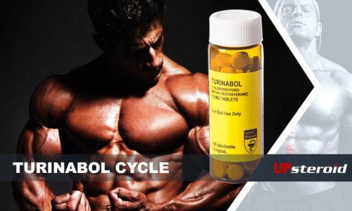 Blogbeitrag zum Turinabol-Zyklus