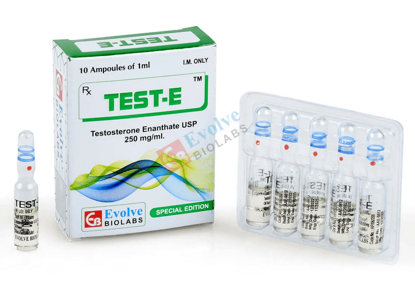 Testosteron Enanthat 250 mg/ml (10 x 1 ml Ampullen) - Evolve Biolabs