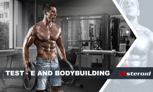 Blog-Test e Bodybuilding