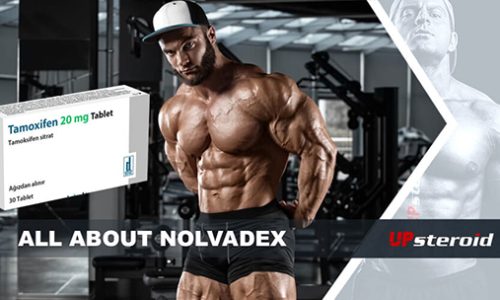 Blogbeitrag über Nolvadex-Post