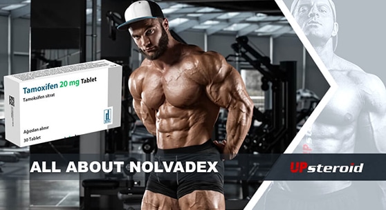 Blogbeitrag über Nolvadex-Post