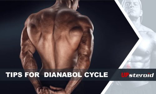 Up-Blog-Tipps Dianabol-Zyklus