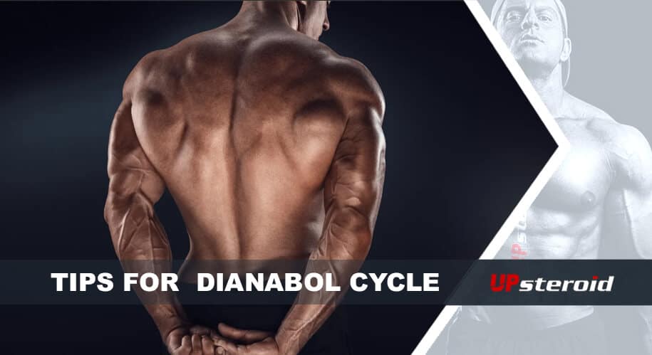 Up-Blog-Tipps Dianabol-Zyklus