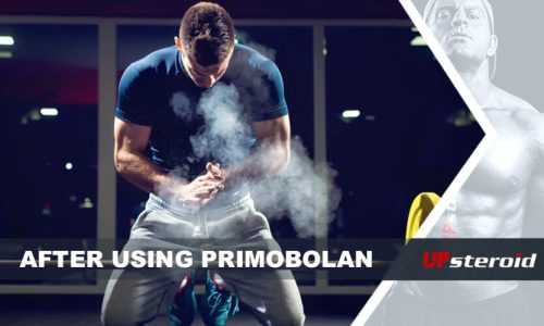 Blogbeitrag nach der Anwendung von Primobolan aktualisiert