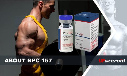 Up-Blog über BPC 157