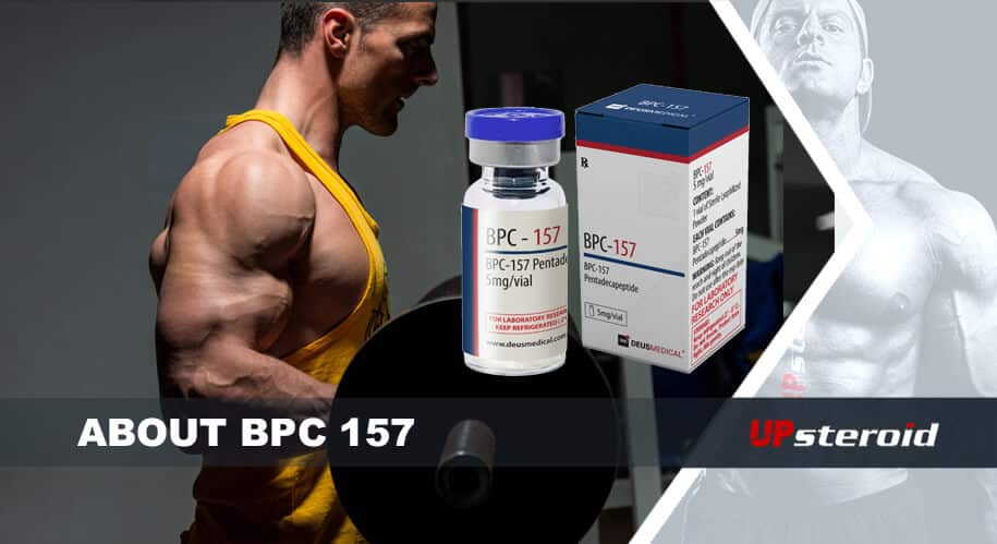 Up-Blog über BPC 157