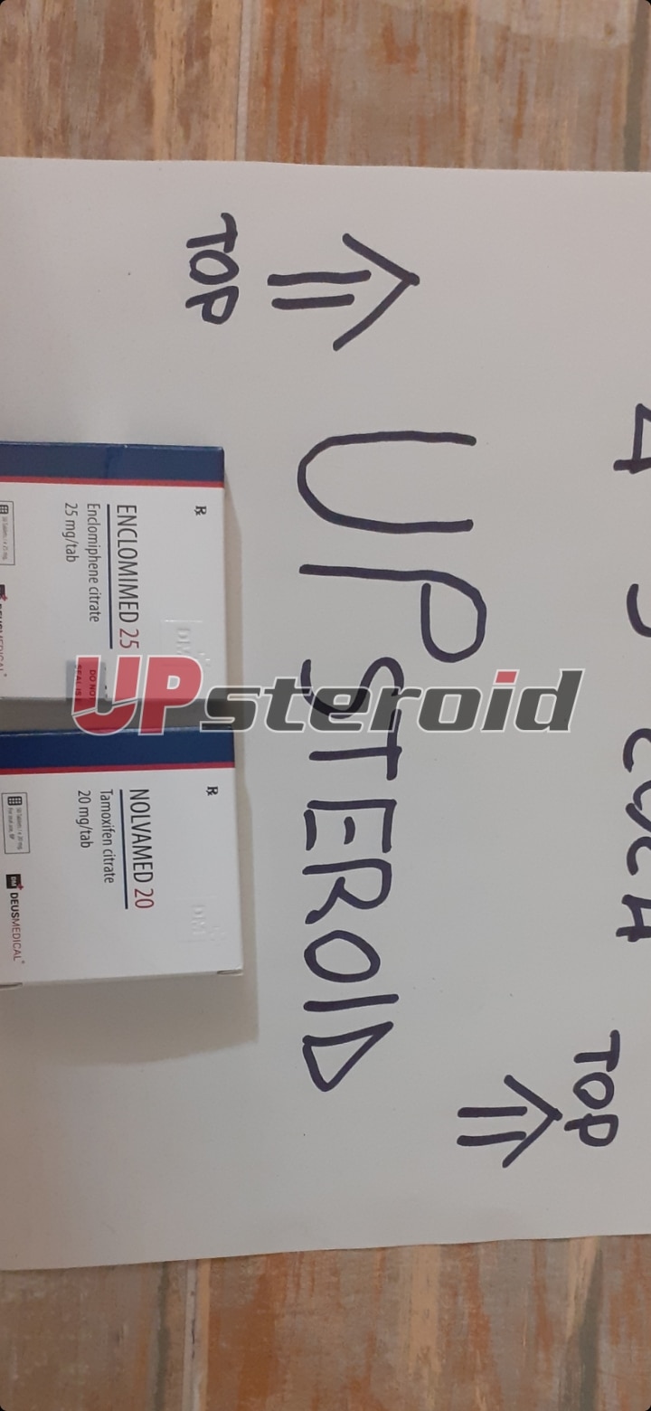 2024 03 04 65e635ce1c044 Screenshot 20240304 215539 Galerie