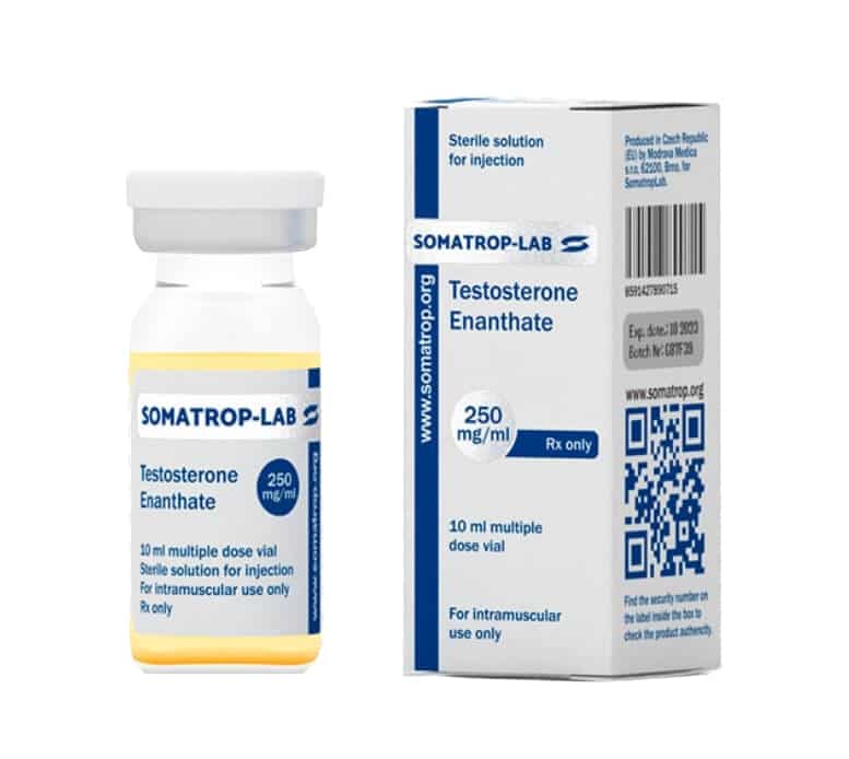 Testosteron Enanthat 250 Somatroplab