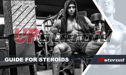 Up-Blog-Leitfaden Steroide