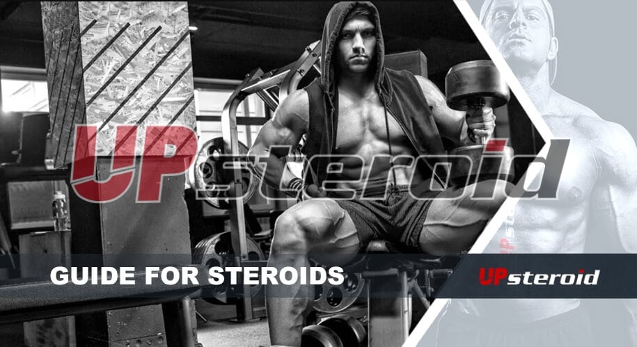 Up-Blog-Leitfaden Steroide