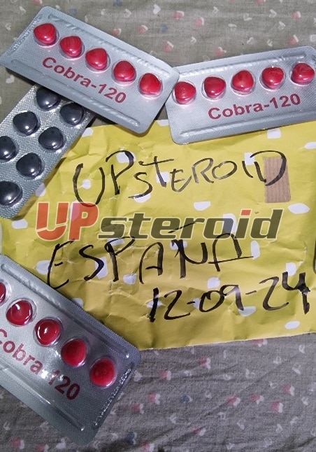 2024 09 12 66e380642c4ba Retusche 2024091301554147