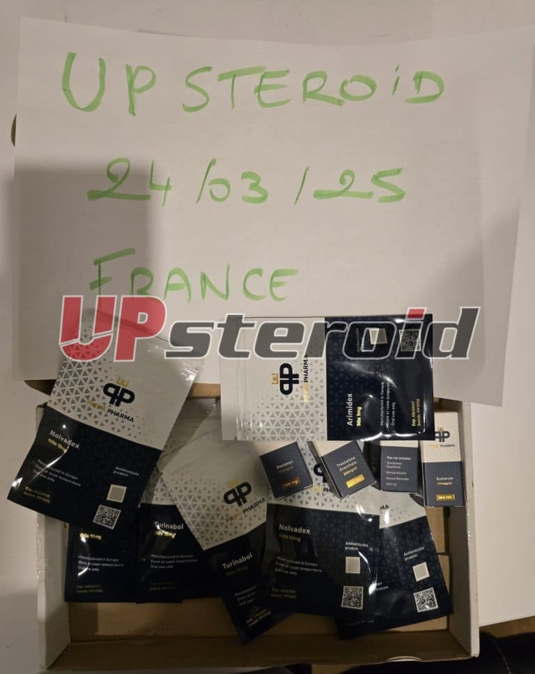 2025 03 27 67e4a8acee8ac Screenshot 20250327 022319 Galerie