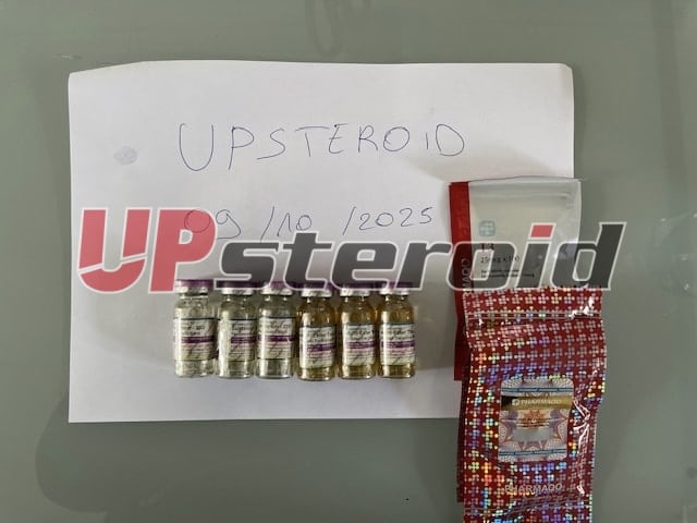 2025 10 09 68e7a0c998d63 Bild0