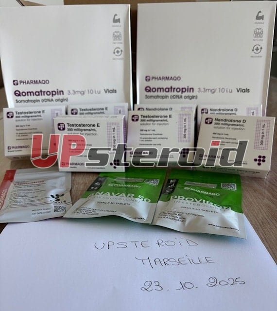 2025 11 26 6926b03e0cc2f IMG 4514