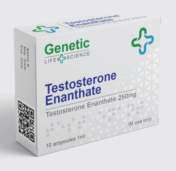 genetisches Testosteron-Enanthat