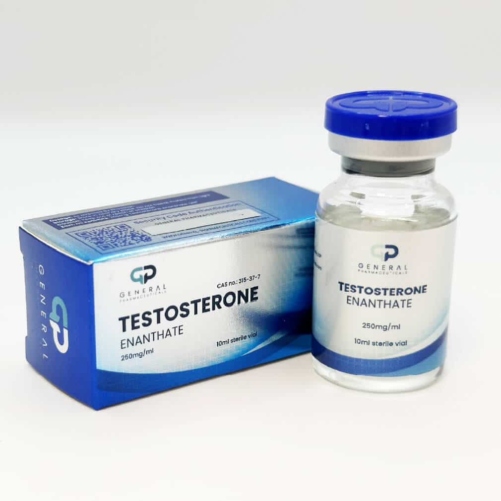 Testosteron Enantat 250 mg 10 ml - General-Pharma