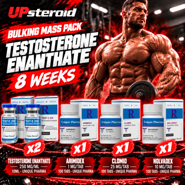 Pack Prise de Masse - UNIQUE PHARMA - Testostérone Enanthate